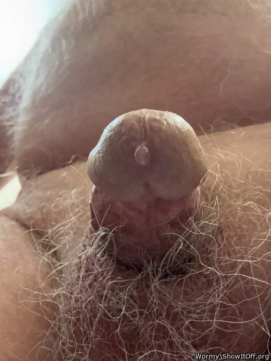 Photo of a schlong from Wormy