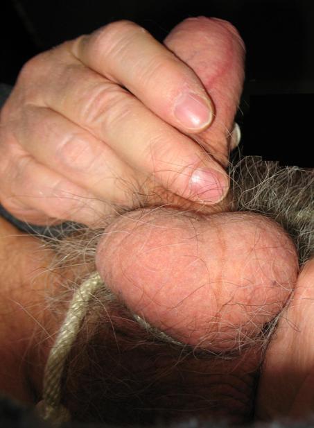 Tied Balls and Cock