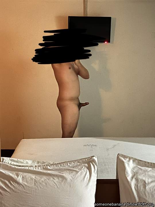 Photo of a python from someonebanana
