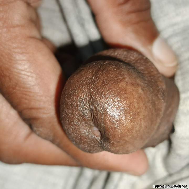 Photo of a phallus from Butts