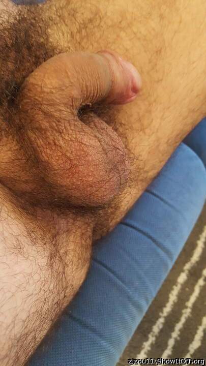 Testicles Photo from zizou11