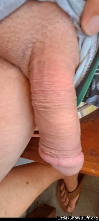 Photo of a meat stick from Little