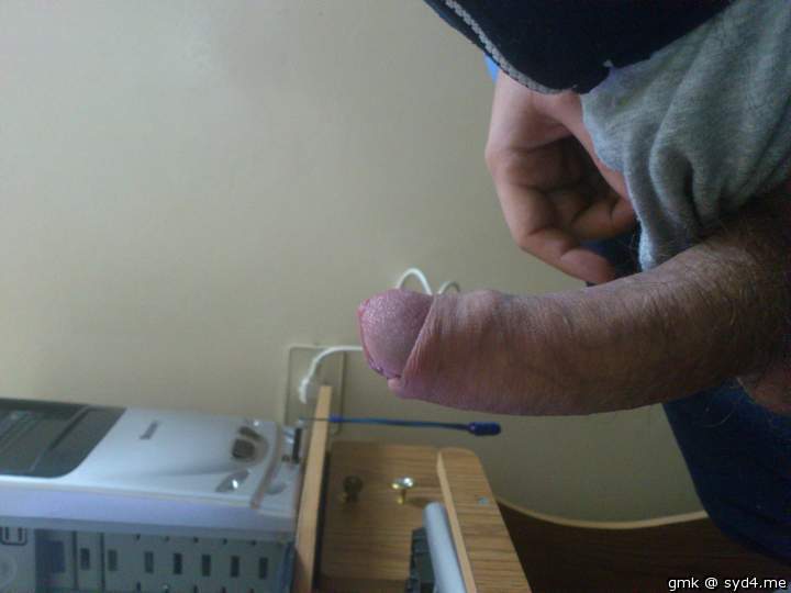 Photo of a middle leg from gmk