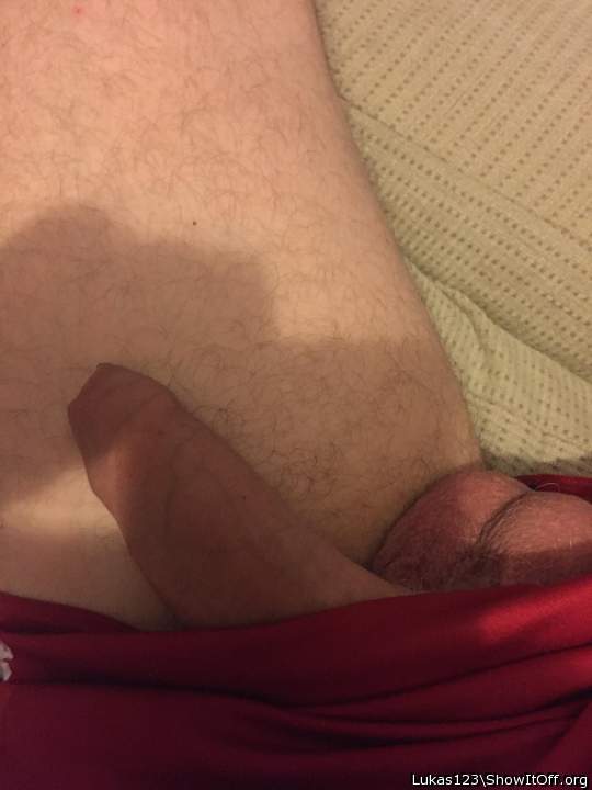 Photo of a bat from Lukas123