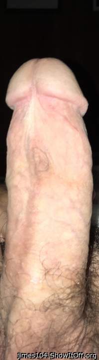 Photo of a bald-headed mouse from jimes104