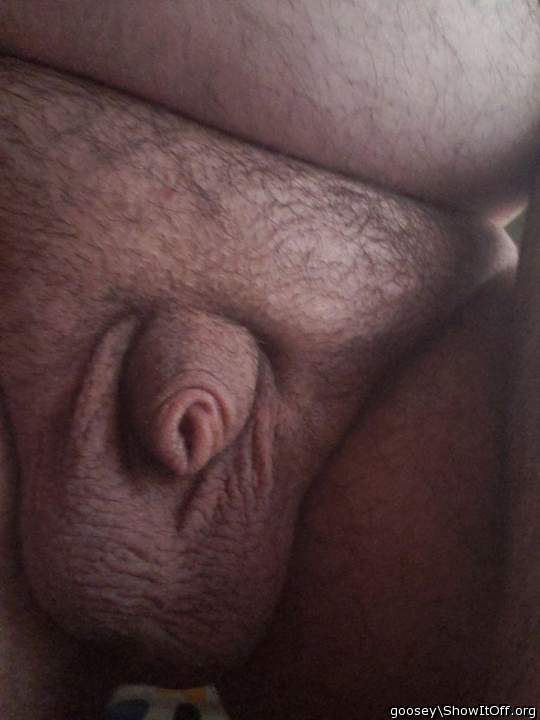 Testicles Photo from Goosey