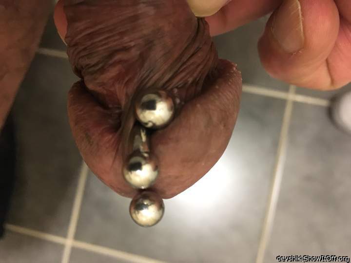 Photo of a middle leg from Cumlover