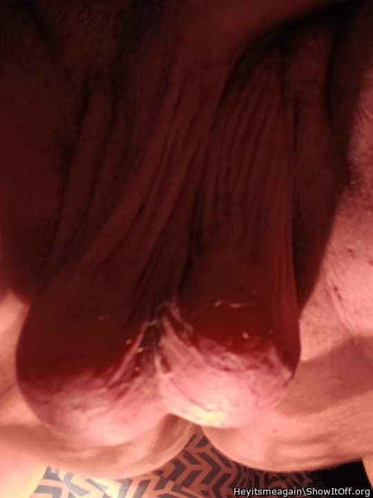 Photo of a rooster from Heyitsmeagain