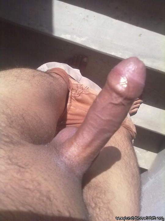 Photo of a cock from sexylund