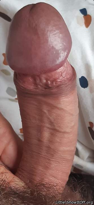 Photo of a hot dog from Little