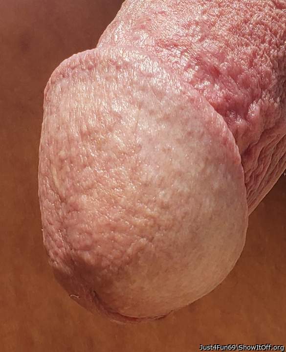 Cock Head Closeup