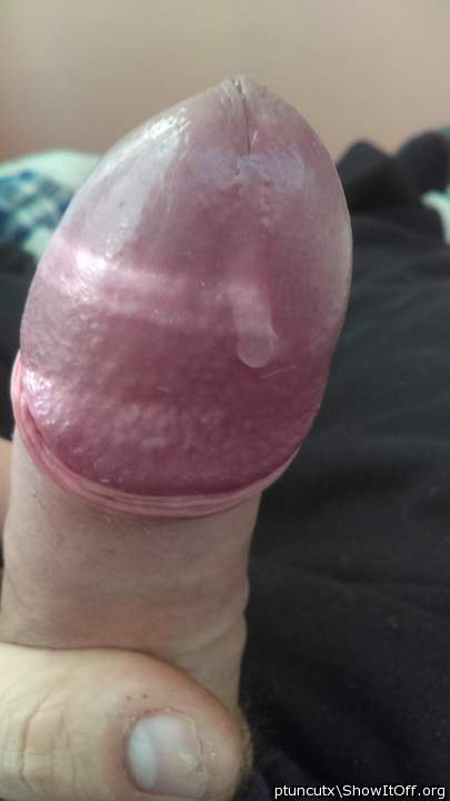 Photo of a horn from ptuncutx