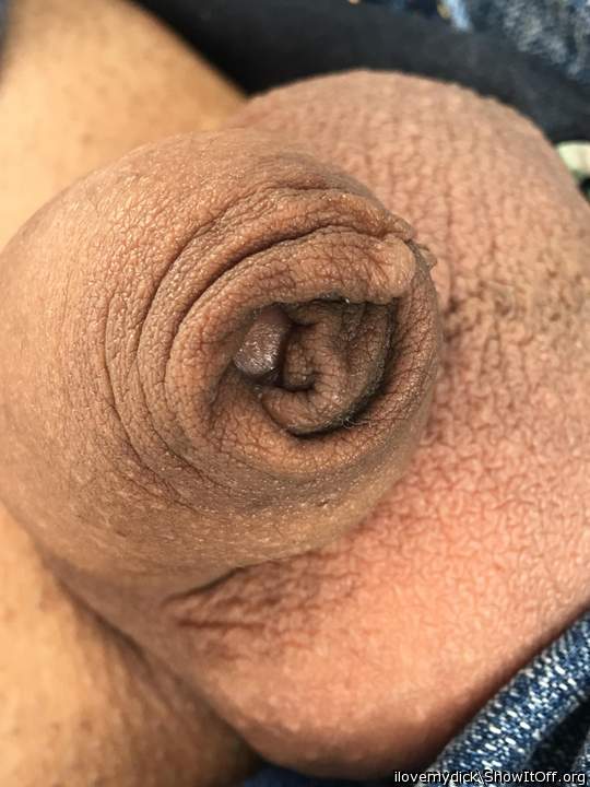 Photo of a middle leg from ilovemydick