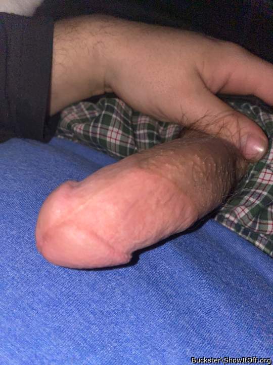 Photo of a cock from Buckster