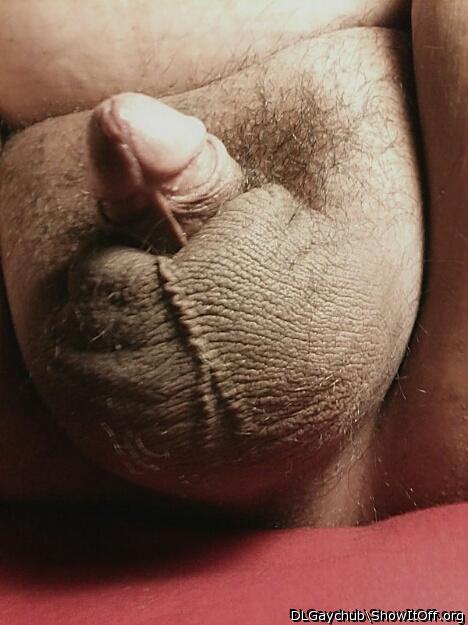 fantastic ballsack!   