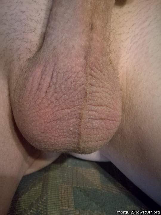Testicles Photo from morgul