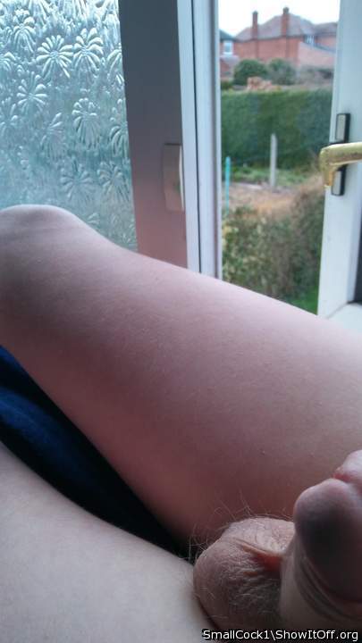 My small cock by the window