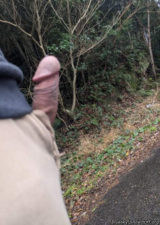 Photo of a weasel from bluesky