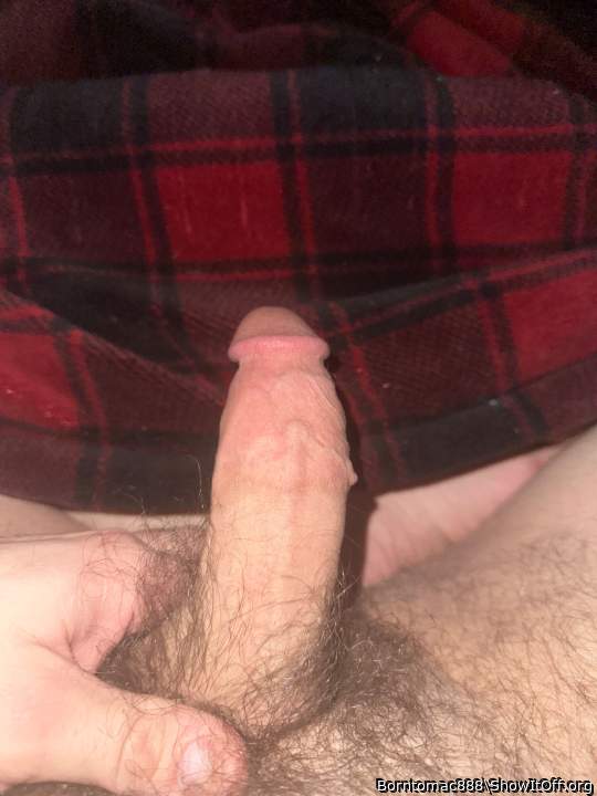 Photo of a horn from Borntomac888