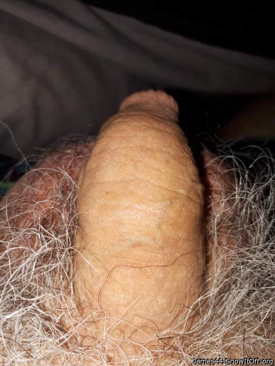Photo of a dong from James44
