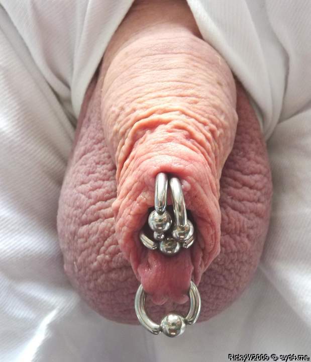 6 foreskin rings