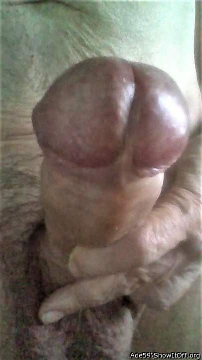 Photo of a third leg from Ade59