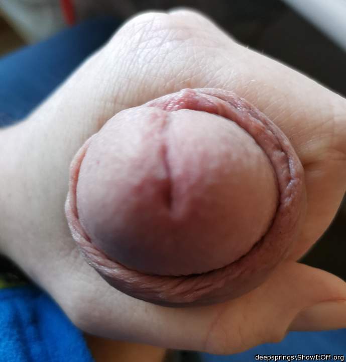 Photo of a one-eyed monster from deepsprings