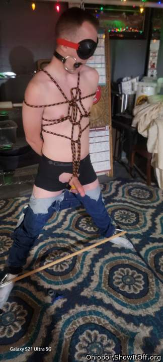 Photo of a python from Ohioboi