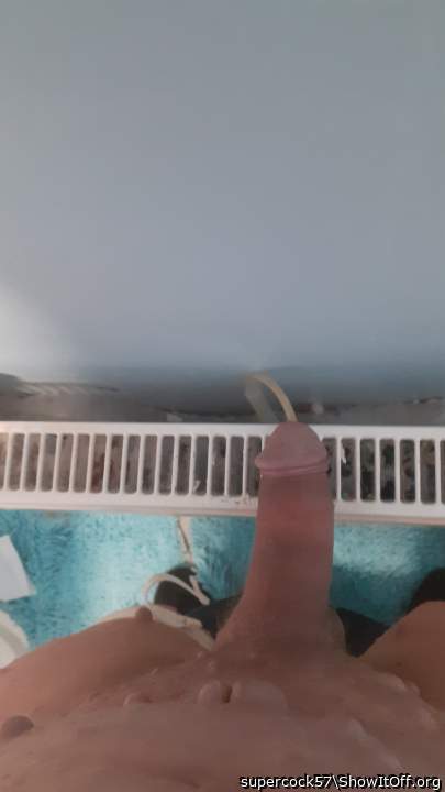 Photo of a dong from supercock57