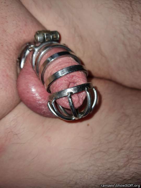 caged cock