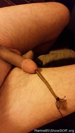 rubber worm