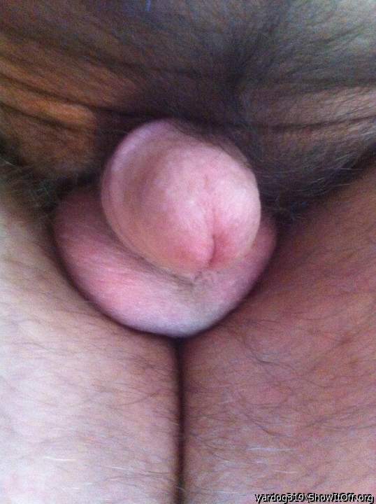 Photo of a tool from yardog319