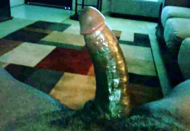 Photo of a python from Assman80
