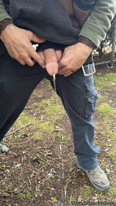 Photo of a cock from BBlueys