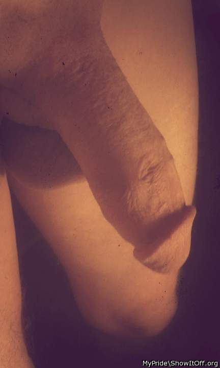 Photo of a horn from Mypride