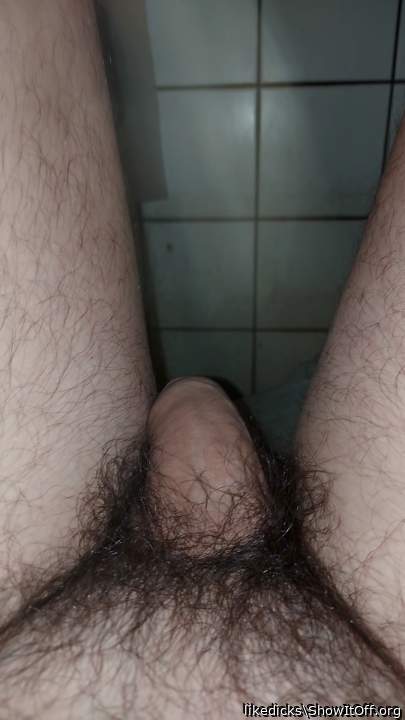 Photo of a bat from likedicks