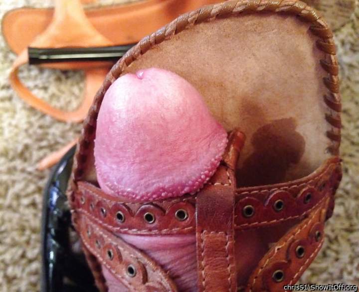 MyDickFriendsShoe