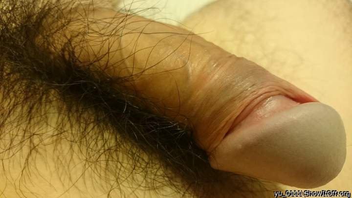 Photo of a short leg from yu_0111