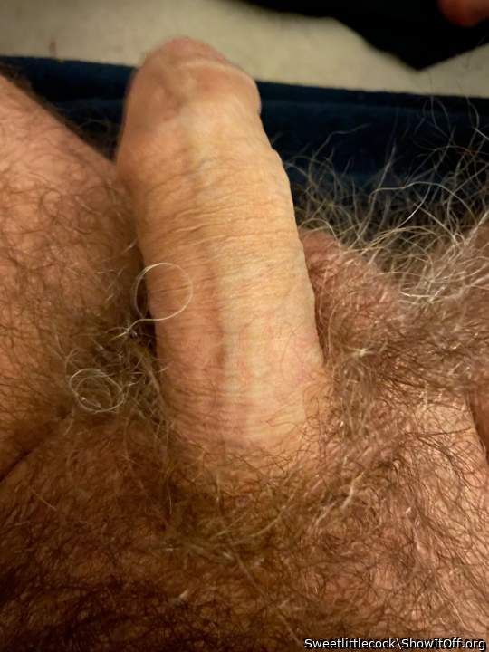 love to play with your hairy boner!   