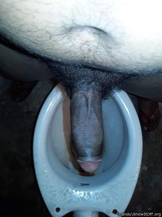 Photo of a weasel from Chandu