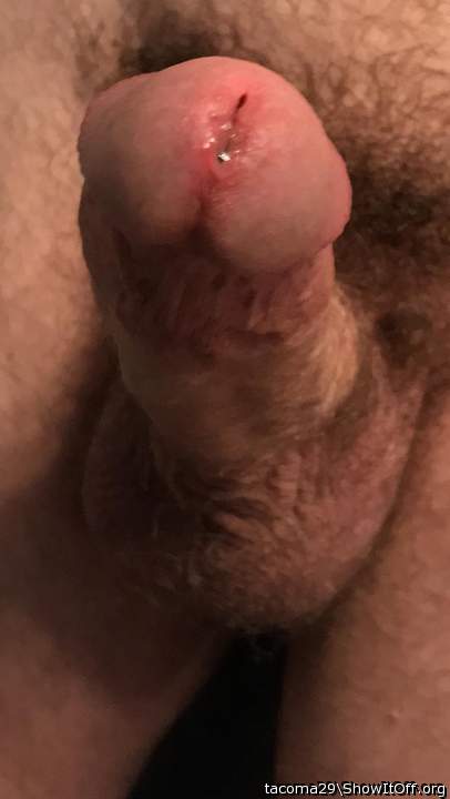 Photo of a meat stick from tacoma29