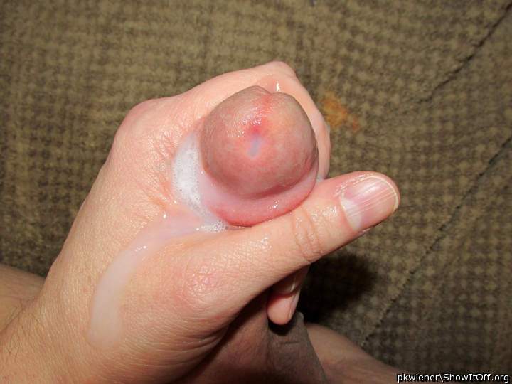 Photo of a cock from pkwiener