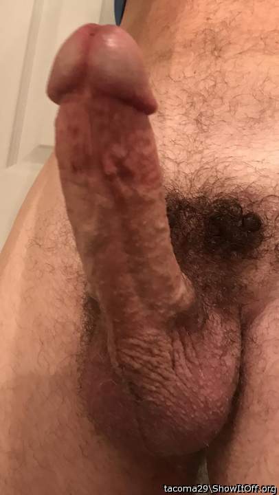 I would love to suck it   