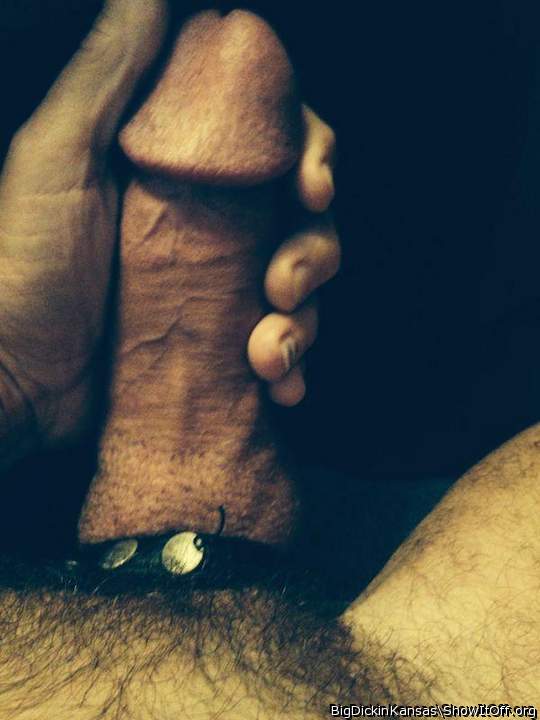 Edged Cock