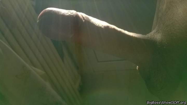 Photo of a tool from TigerAndRedHibiscus