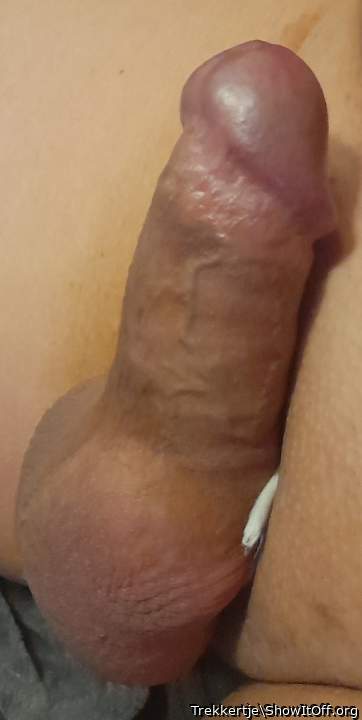 Photo of a stiffie from Trekkertje