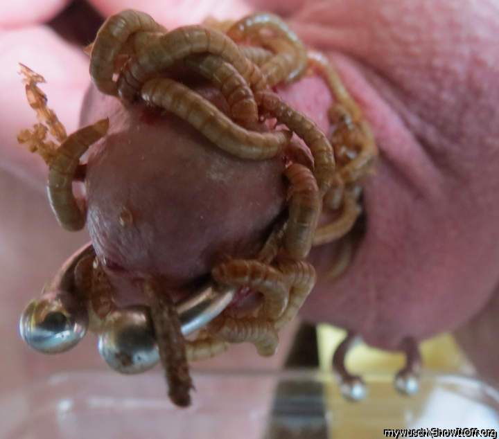 biting worms
