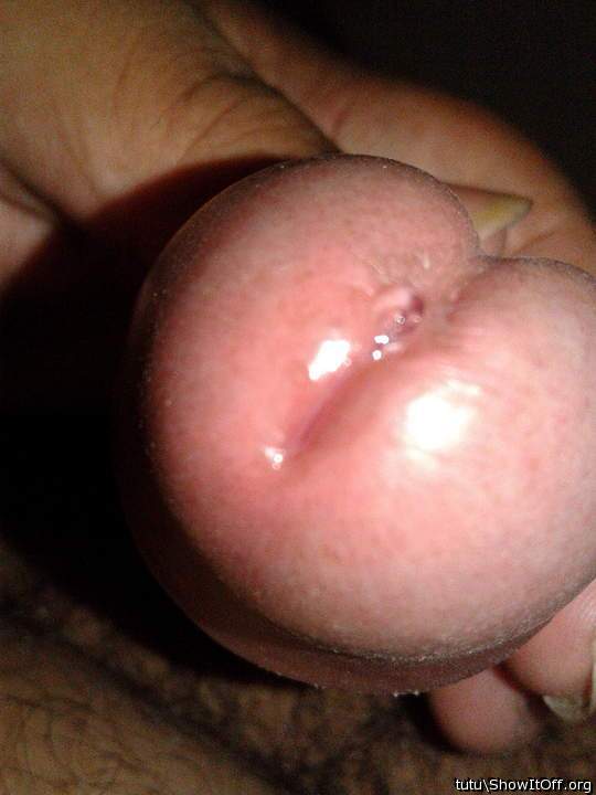 Photo of a private part from tutu