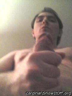 Photo of a love muscle from cardinal