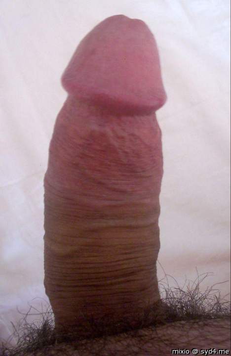 cock